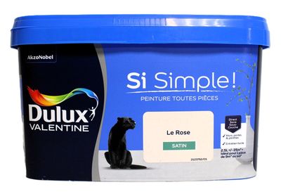 Peinture Duluxx Valentine dans un seau, avec un chat noir assis par terre