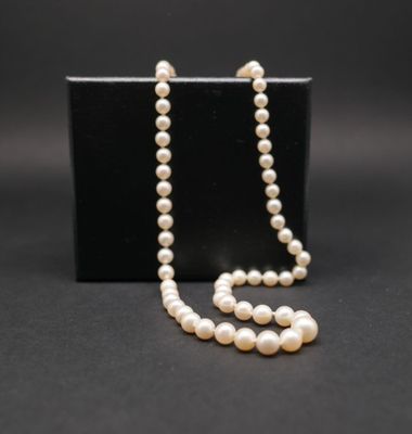 Collier de 81 perles de culture en chute de 4.5 mm à 8 mm.