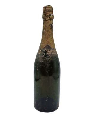 an image of a bottle of champagne on a white background