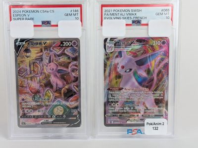 deux cartes Pokémon dans des pochettes en plastique transparent posées sur une surface blanche