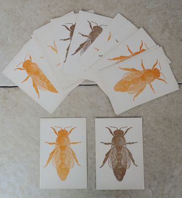 six cartes ornées de motifs d'insectes différents, posées sur un sol carrelé