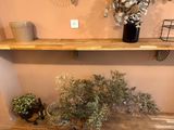 a shelf that has some plants on it and a clock on the wall