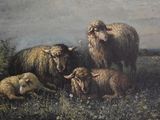 a painting of sheep and lambs in a field
