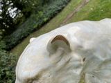 a statue of a dog that is standing in the grass