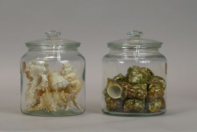 two glass jars with shells in them on a white surface