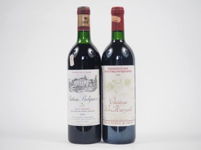 deux bouteilles de vin rouge posées l'une à côté de l'autre sur une surface blanche