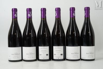six bouteilles de vin sont alignées sur une surface blanche