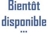 Photo 1/1 du lot
