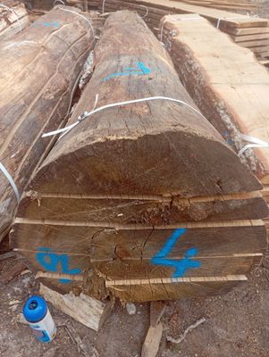 a pile of wood that is sitting on the ground