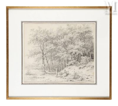 une image représentant un dessin d'un paysage boisé avec des arbres