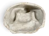 sculpture of a woman in a shell on a white background