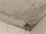 a picture of a ceiling with moldy paint on it