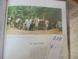 Photo 41/45 du lot