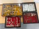 three boxes with different types of insects in them sitting on a table