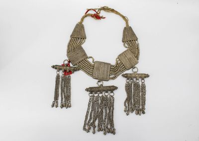 Important pectoral composé de cinq éléments rigides (trois r…