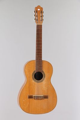 an image of a guitar hanging on a wall in a room