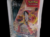 a picture of a pokemon trading card in a clear bag