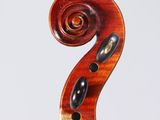 a close up of a violin with a curved back