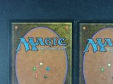 two decks of magic the gathering are shown on a table