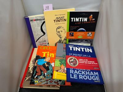 Hergé. Lot de 7 volumes sur Hergé/Tintin.