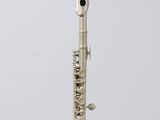 an image of a silver flute on a clear stand on a white background