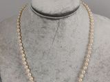 a white pearl necklace on a mannequin mannequin mannequin mannequin mannequin mannequin mannequin mannequin manne