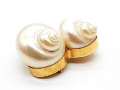 une paire de boucles d'oreilles en coquillage blanc et doré sur fond blanc