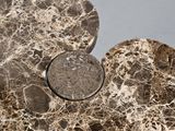 marble flower on a table with a magnifying glass in the center