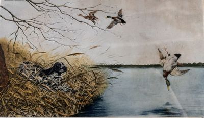 Léon DANCHIN Vol de canards Lithographie en couleurs signée …