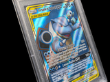 une image d'une carte Pokémon dans un étui en plastique