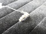 a small piece of fabric that is on top of a mattress