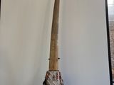 une image représentant un mur orné d'une longue corne et de plumes