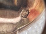 a close up view of a metal bowl with a bird inside of it