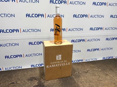 LIEU DE STOCKAGE : Rennes - INCONNUE - 6 BOUTEILLES D'AOP COTES DE PRO