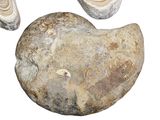 a large rock and two smaller rocks on a white surface