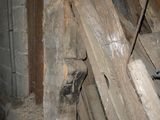 un tas de bois posé dans une pièce
