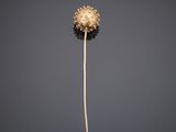 a close up of a single flower on a stick against a gray background