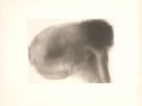 a black and white photo of a dog ' s head