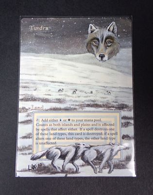 a picture of a card with a picture of a wolf on it