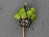 une photo d'une broche ornée d'une fleur
