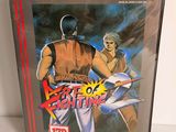 l'illustration de la jaquette de Street Fighter Neo Geo