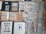 a lot of stamps on the floor of this room