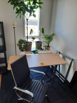 un bureau avec une chaise et une plante en pot dans un coin
