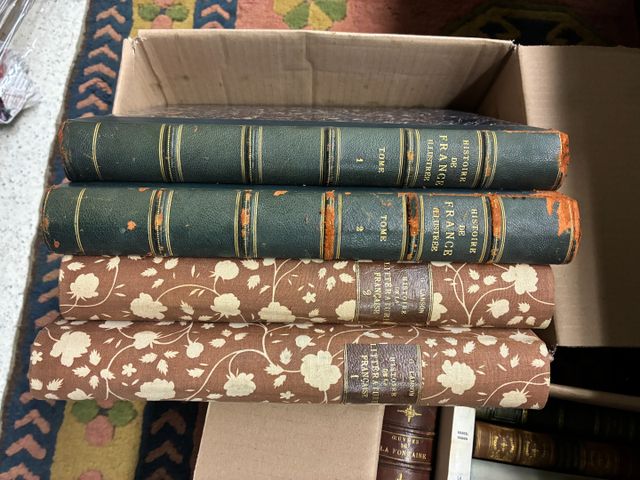 Carton de livres dont Histoire de France illustrée en 2 volumes, ...