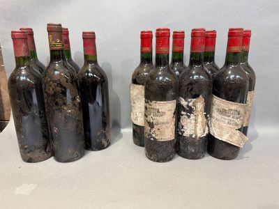 plusieurs bouteilles de vin sont alignées sur une table