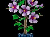 purple flowers in a blue vase with green leaves on a black background
