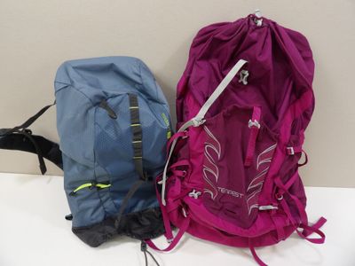 deux sacs à dos posés sur une table