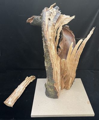 Francis HELVEN (Né en 1945), "Sans titre"