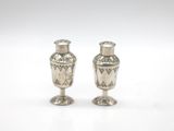 pair of silver salt and pepper shakers on a white background