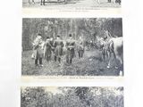 quatre photos de personnes à cheval dans un champ